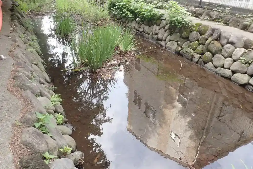 河川清掃の作業前
