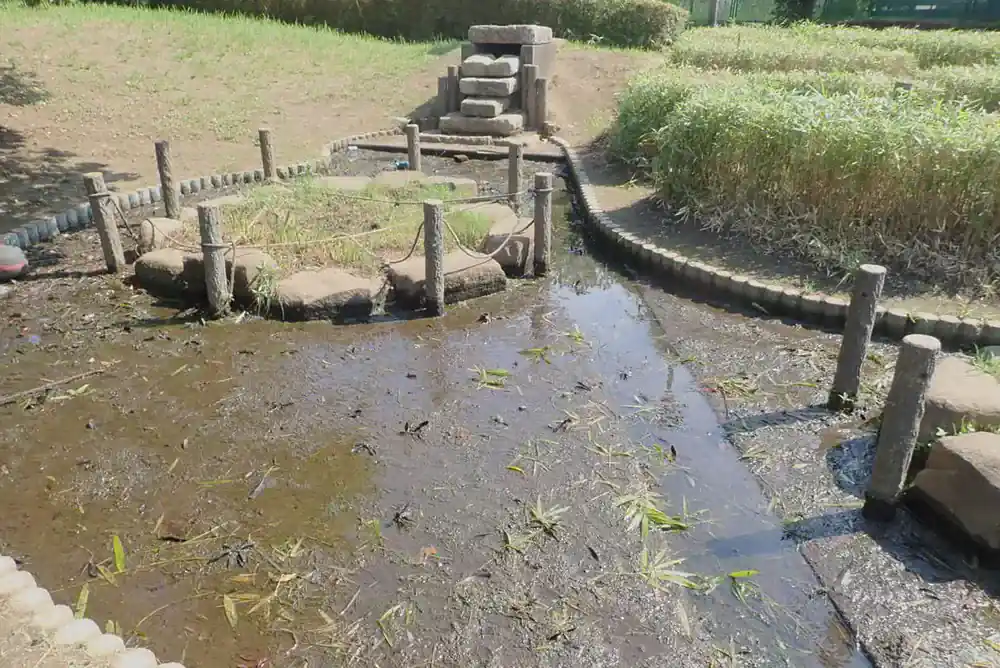 公園・池清掃の作業前